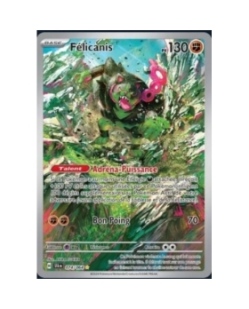 FELICANIS 130PV 074/064