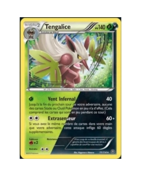 TENGALICE 140PV 11/114
