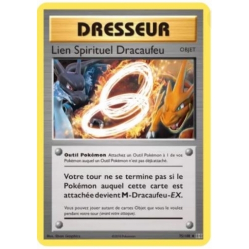 LIEN SPIRITUEL DRACAUFEU 75/108