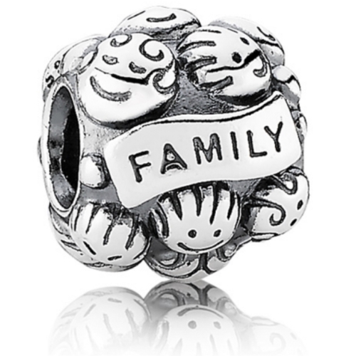 Pandora Family Charm 791039
