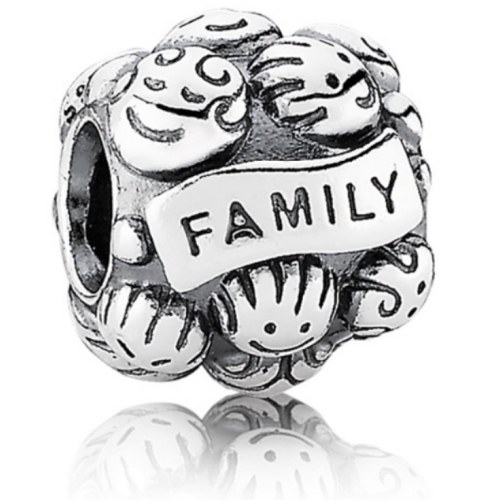Pandora Family Charm 791039