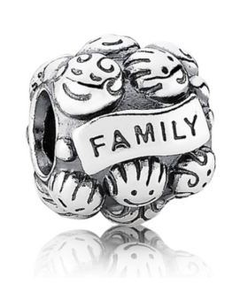 Pandora Family Charm 791039