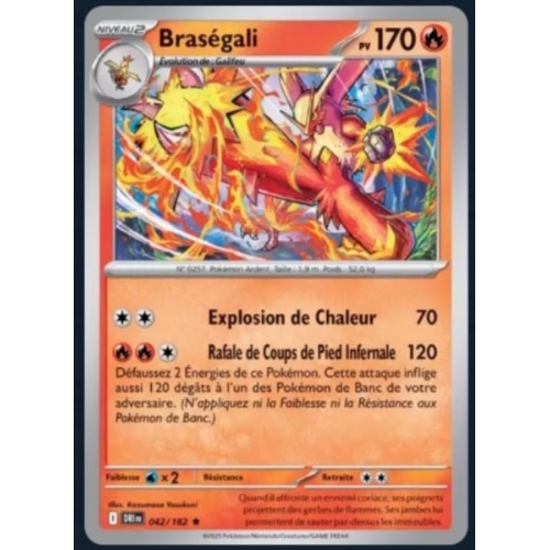 BRASEGALI PV170 042/182