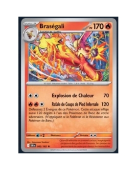 BRASEGALI PV170 042/182