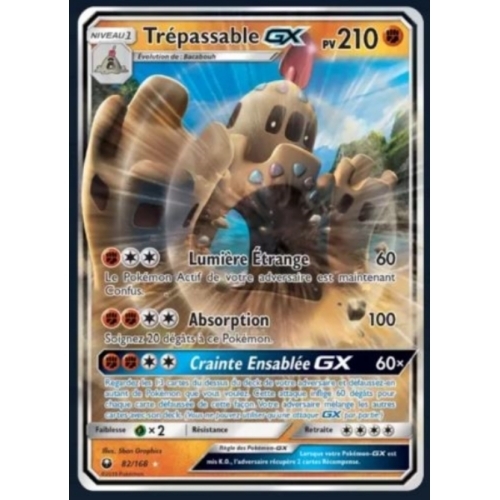 TREPASSABLE GX PV210 82/168
