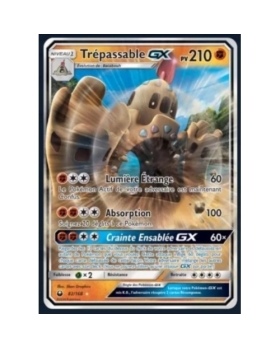 TREPASSABLE GX PV210 82/168