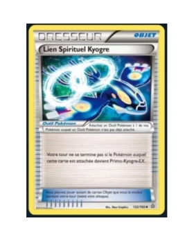 LIEN SPIRITUEL KYOGRE 132/160