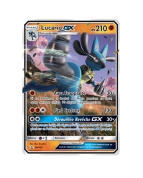 LUCARIO GX PV210 SM100
