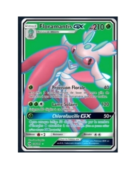 FLORAMANTIS GX PV210 138/149