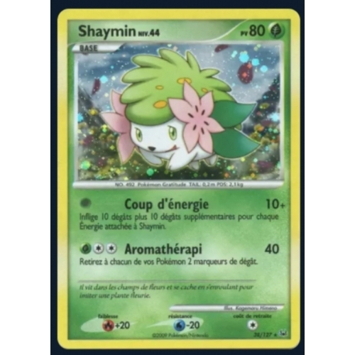 SHAYMIN PV80 38/127