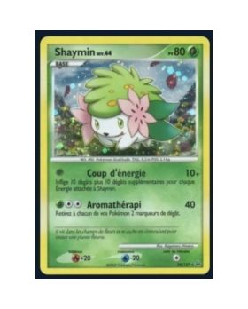 SHAYMIN PV80 38/127