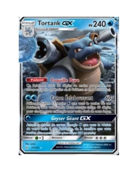 TORTANK GX PV240 35/214
