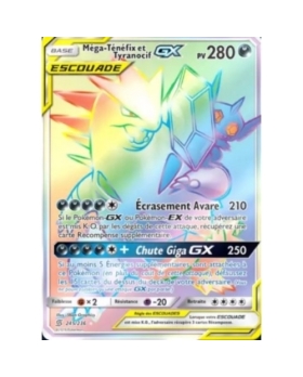 MEGA-TENFIX ET TYRANOCIF GX PV280 245/236