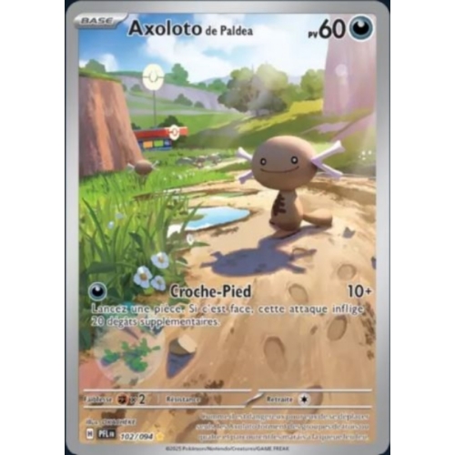 AXOLOTO 60PV 102/094