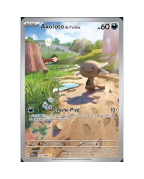 AXOLOTO 60PV 102/094