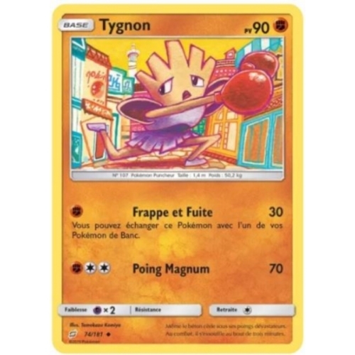 TYGNON 90PV 74/181