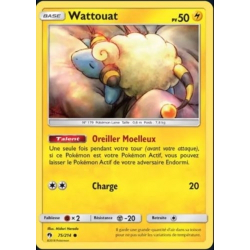 WATTOUAT 50PV 75/214