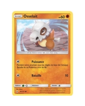 OSSELAIT 60PV 90/214