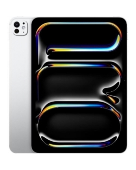 IPAD PRO M4 ARGENT 11' A2836 256GO FACE ID 