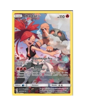 CHARTOR 110PV 237/236