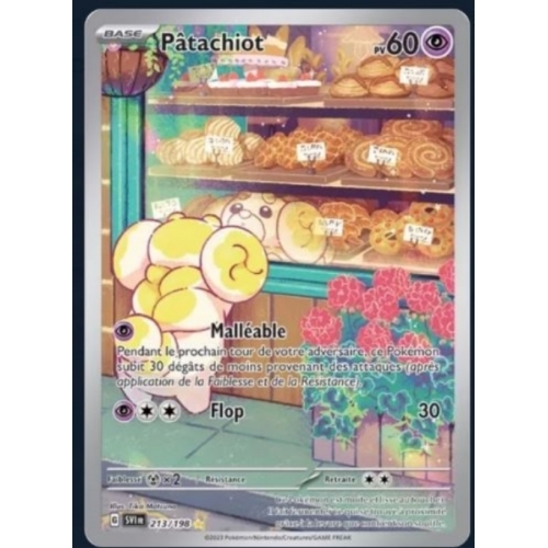 PATACHIOT PV60 213/198