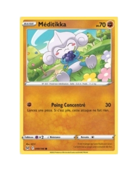MEDITIKKA PV70 099/196