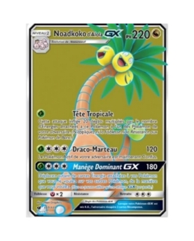 NOADKOKO D'ALOLA GX PV220 107/111