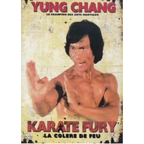 KARATE FURY LA COLERE DE FEU DVD