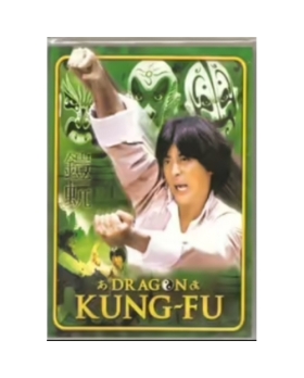 DRAGON KUNG FU DVD 