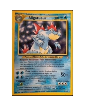 ALIGATUEUR 4/111 100PV