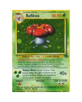 RAFLESIA PV80 15/64