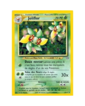 JOLIFLOR 70PV 3/111