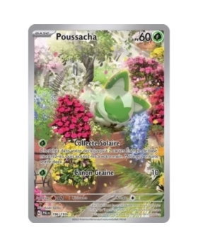 Poussacha 196/193 60PV 
