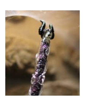 baguette maléfique disney 