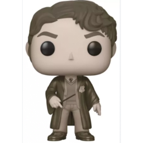 POP SANS BOITE TOM RIDDLE 60