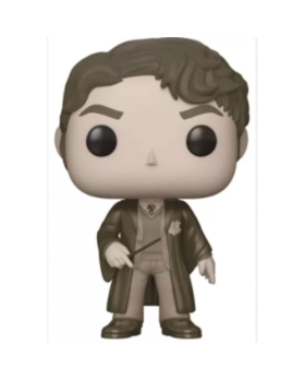 POP SANS BOITE TOM RIDDLE 60