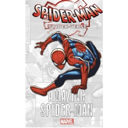 Marvel-Verse : Amazing Spider-Man DC COMICS 