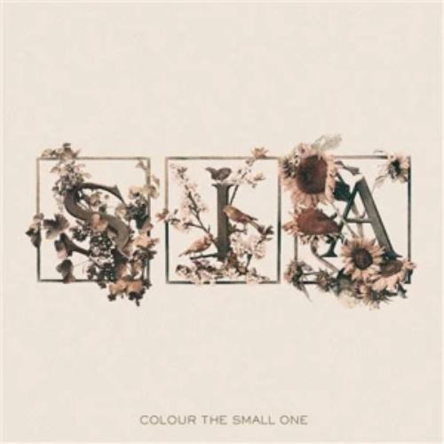 Colour The Small One SIA CD 