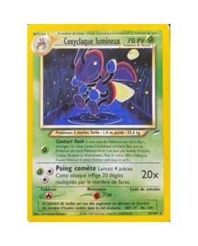 COXYCLAQUE LUMINEUX 70PV 24/105