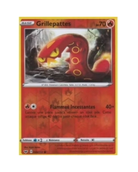 GRILLEPATTES REVERSE PV70 038/202