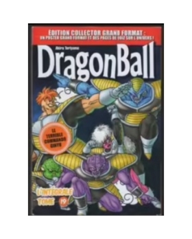 DRAGON BALL EDITION GRAND FORMAT TOME 19 MANGA