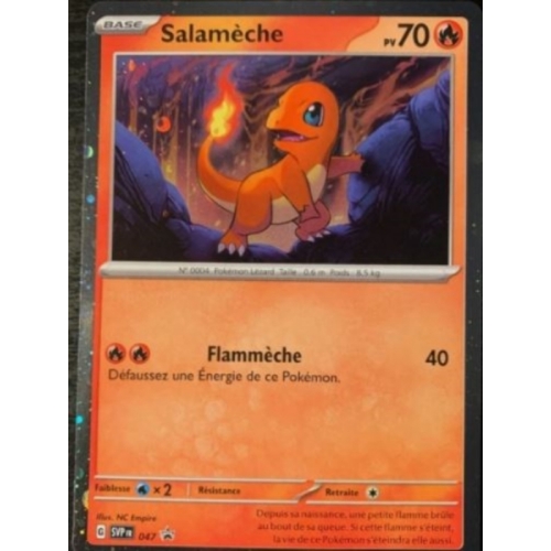 SALAMECHE 70PV 047 