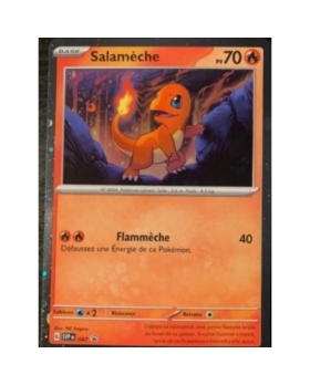 SALAMECHE 70PV 047 