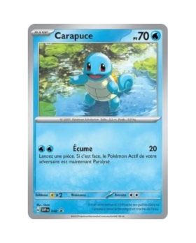 CARAPUCE 70PV 048
