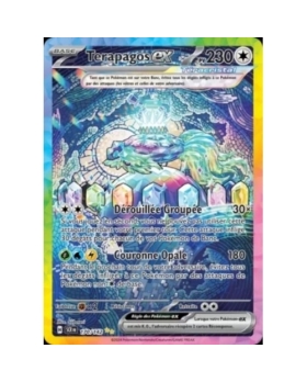 TERAPAGOS EX PV230 170/142