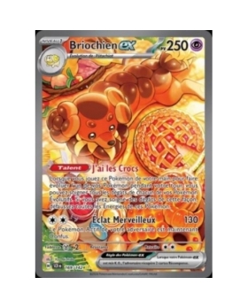 BRIOCHIEN EX PV250 169/142