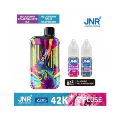 Zpluse 42K - JNR - Arôme : Blueberry Pomegranate Ice + Blueberry Sour Raspberry