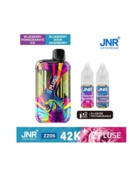 Zpluse 42K - JNR - Arôme : Blueberry Pomegranate Ice + Blueberry Sour Raspberry