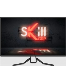 ECRAN PC GAMER SKILLKORP G32-001_SKP 32" (81 cm) - 165hz - Dalle TFT VA - 1ms - HDMI X2 - DP