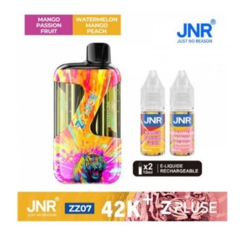 Zpluse 42K - JNR - Arôme : Mango Passion Fruit + Watermelon Mango Peach +2 flacons de 10 ml 